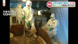 【ホロホロ鳥】茨城県で鳥インフルが熊本に波及　天草市の農場で殺処分|TBS NEWS DIG