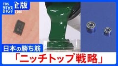 【完全版】日本のモノづくりの勝ち筋「ニッチトップ戦略」iPhoneを分解！半分が日本製 ”塗る”で世界トップ 基盤はなぜ緑？ 世界を“回せ”小さな池の大魚戦略| TBS CROSS DIG with Bloomberg