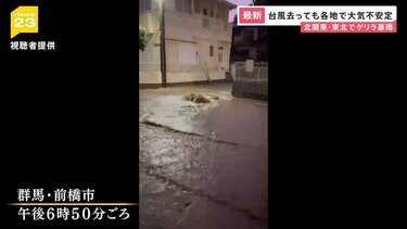 樹齢3000年の屋久杉が真っ二つに…「台風10号」各地で爪痕 熱帯低気圧に