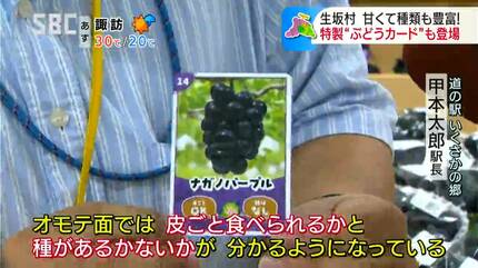 今年完成「ぶどうカード」も人気 タイミングが合えば22種類が並ぶ
