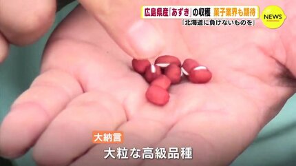 広島県産「あずき」の収穫 菓子メーカーが生産依頼「北海道に負けない
