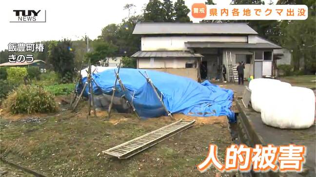 心配される人的被害...連日県内各地でクマの出没が相次ぐ　市街地・堤防・高速道路などで...  県は「クマ出没警報」を2度延長（山形）|TBS NEWS DIG