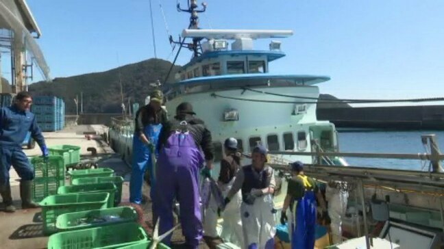 「近くの海でたくさん獲れることが経営の鍵」初ガツオ漁盛ん 一方、中東情勢の悪化による燃料価格の高騰の影も 愛媛県・愛南町|TBS NEWS DIG