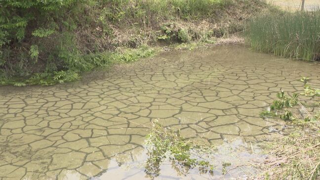 岐阜・瑞浪市のリニア・トンネル工事現場周辺で発生した水位低下の問題　JR東海「水位の回復は見込めない」…3日の住民説明会で明らかに|TBS NEWS DIG