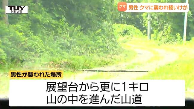 親子とみられる2頭のクマに遭遇し...山道を歩いていた男性がクマに襲われる 左足首かまれケガ(山形・米沢市)|TBS NEWS DIG