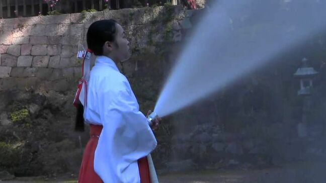 国宝・霧島神宮に最新の防災施設整備 鹿児島|TBS NEWS DIG