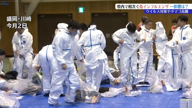 岩手県内で相次ぐ鳥インフルエンザ…その影響は?|TBS NEWS DIG