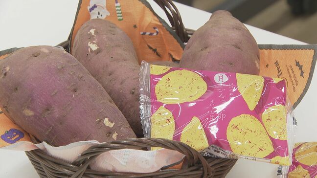 232店舗が参加！サツマイモのグルメイベント「やない～もフェア」開催を市長に報告|TBS NEWS DIG