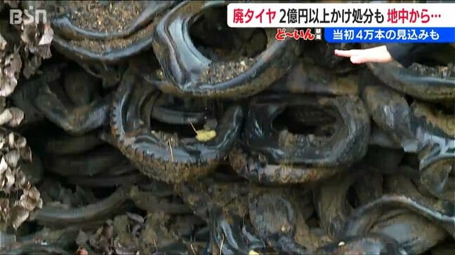 放置されていた4万本の廃タイヤ　2億円かけて撤去したら、さらに地中にも…　市単独の対応は限界に　新潟・柏崎市|TBS NEWS DIG