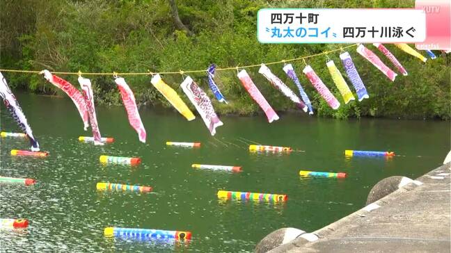 「幸せな気分になります」四万十川を泳ぐ“丸太のコイ”と空を泳ぐ“こいのぼり” 『沈下橋』とも共演|TBS NEWS DIG