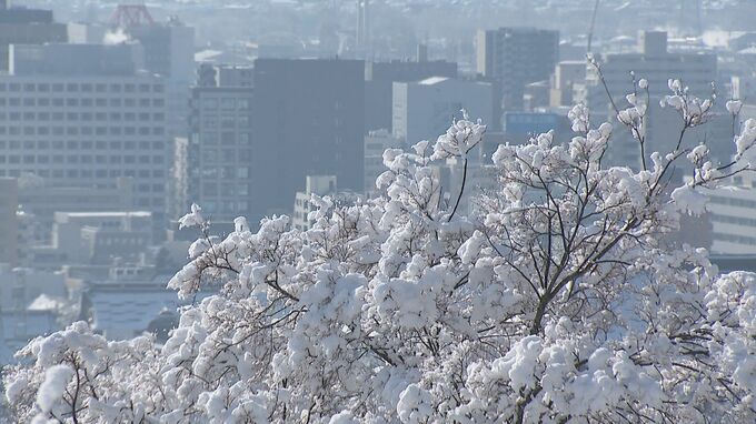 2～3月は「想定上回る」除雪費　長野市が除雪費用4億6,000万円を専決処分|TBS NEWS DIG