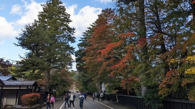 角館・武家屋敷通りの紅葉見ごろ　秋田・仙北市|TBS NEWS DIG