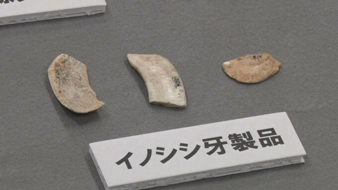 「数千年の空白を埋めていく史料に」　普天満宮洞穴に旧石器時代のイノシシの牙製品　国内最古級か|TBS NEWS DIG