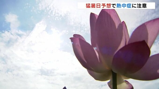 朝から30度超えで湿度の高い一日 この後の激しい雨や突風など急な天候の変化に注意 富山　|　富山のニュース｜天気・防災｜チューリップテレビ