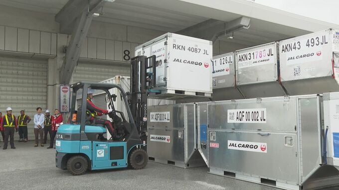 那覇空港で試験的導入 水素フォークリフト　燃料充填は「わずか3分」　“充電” に比べメリット|TBS NEWS DIG