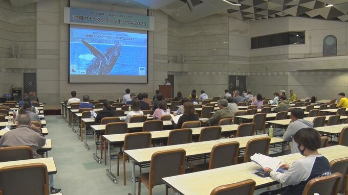 「世界的にも重要な海域を守ろう」ザトウクジラの保全や観光資源としての活用を考える|TBS NEWS DIG