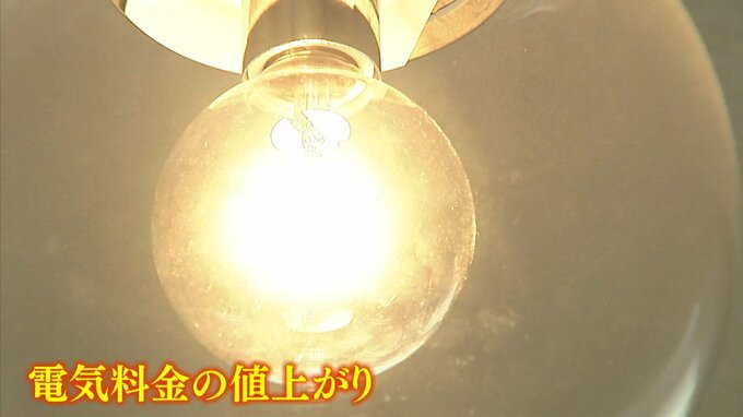 『ペンギン室温は3℃』『大きな水槽のろ過・水温調整』電気料金高騰で苦悩の水族館...「生き物たちのため365日24時間止められない」|TBS NEWS DIG