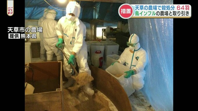 【ホロホロ鳥】茨城県で鳥インフルが熊本に波及　天草市の農場で殺処分|TBS NEWS DIG