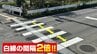 横断歩道の白線8本→5本に…コスト削減、事故防止効果も視覚障害者は「混乱してしまう」普及に課題　福島　|　福島のニュース│TUF