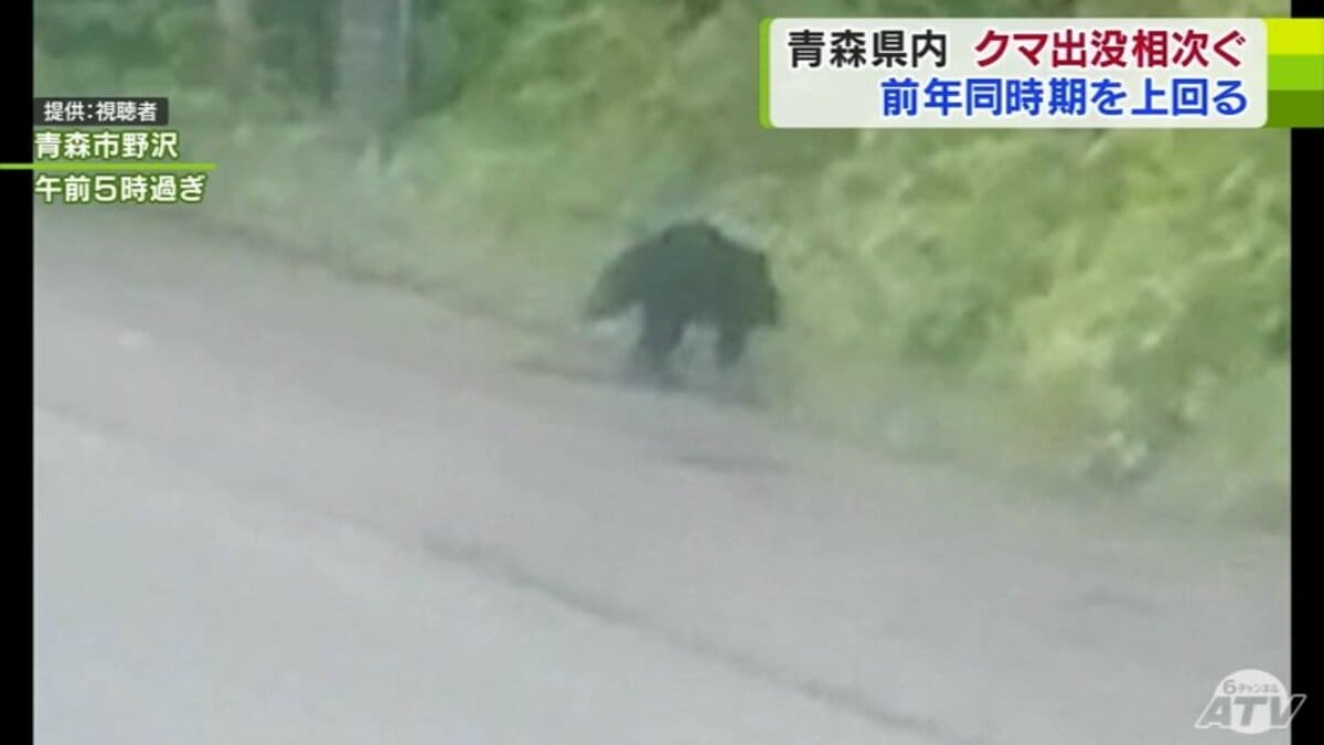 人慣れしたクマ”が里におりてきている可能性も… クマ出没情報相次ぐ
