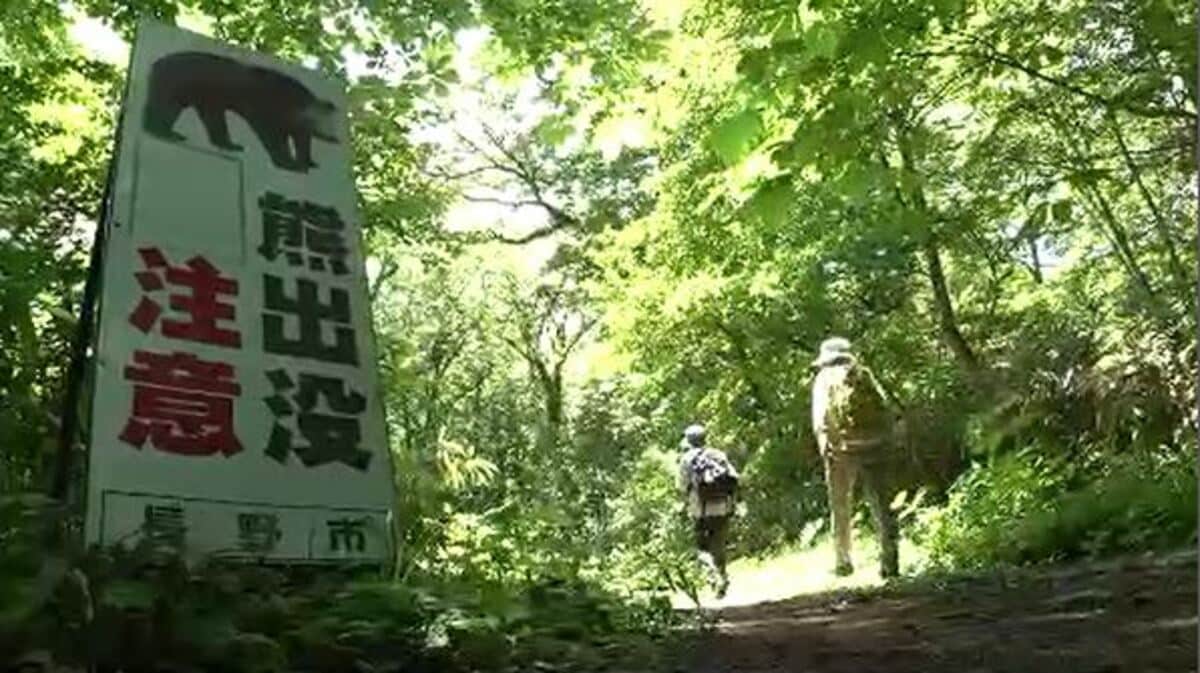 戸隠 神社 熊