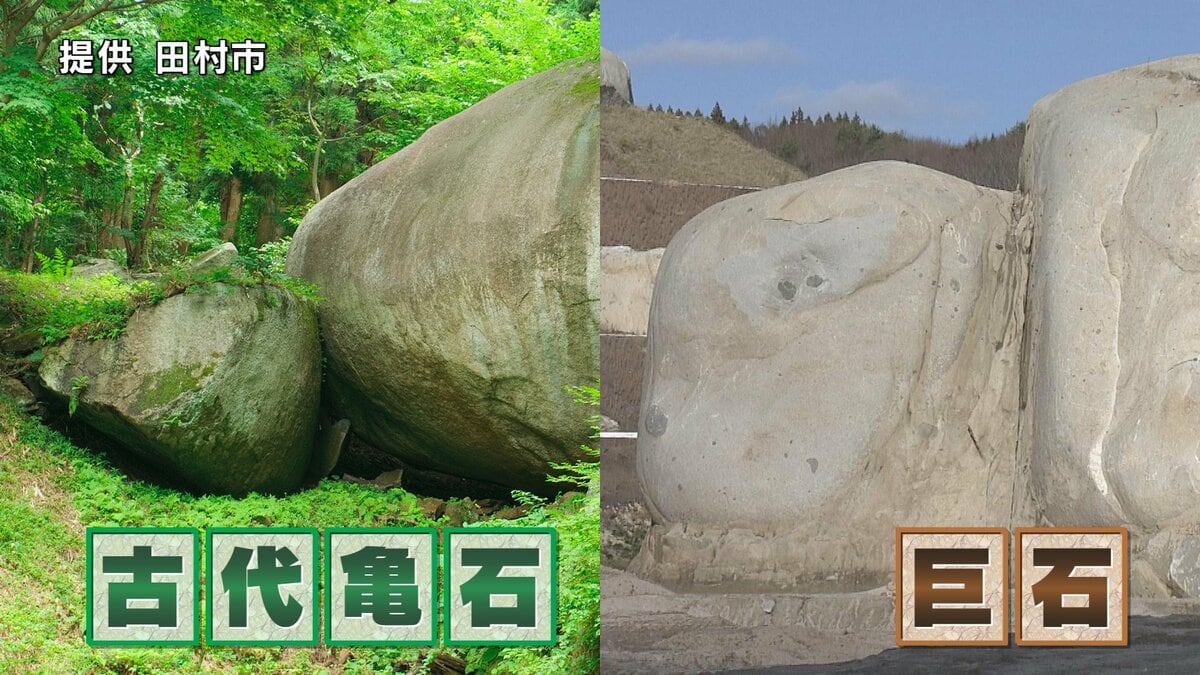 【格安訳あり】巨大な石　岩 Amazon.co.jp: 溶岩石 黒 ゴロタ石 溶岩 ロックガーデン ブラック
