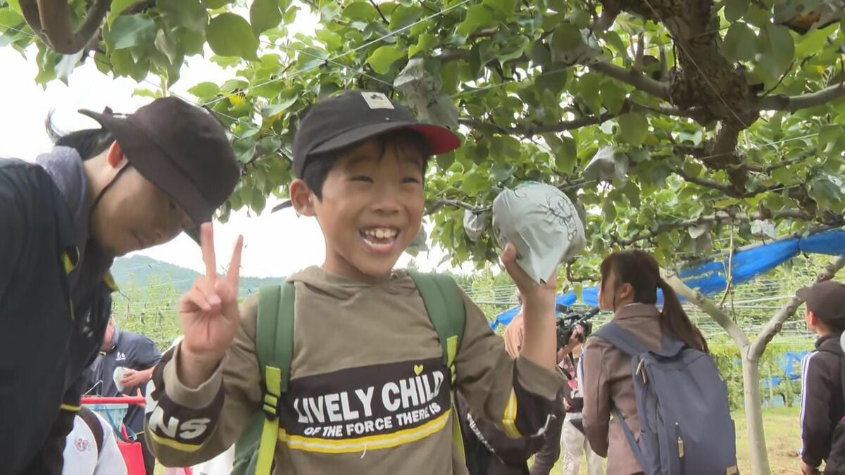 ナシの収穫シーズン　地元小学生が収穫体験　約500グラムの大きなナシも　大分