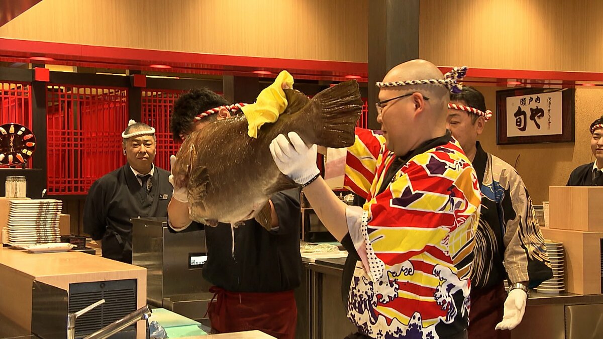 脂が濃厚ですごく美味しかった」幻の高級魚 “クエ” の解体ショー 体長