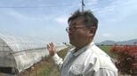 「1年間の全てが無駄になってしまう」　中東情勢の混乱は農業にも深刻な影響を　資材が高騰し入荷も不安定に【岡山】|TBS NEWS DIG