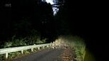 熊本県で最大震度7　高千穂町の県道で高さおよそ3メートルの落石|TBS NEWS DIG