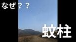 「蚊柱(かばしら)」はなぜあんなに密集するの?運が悪いと巻き込まれる ユスリカ対策を害虫駆除の専門家が伝授|TBS NEWS DIG