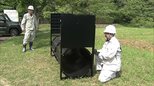 神戸市　クマ専用の捕獲わな設置　市内で初めてツキノワグマの出没が確認されたことを受け|TBS NEWS DIG