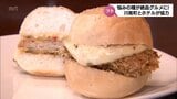 漁場を荒らすやっかいもの「サメ」がおいしい「フィッシュバーガー」に 川南町とホテルレストランが協力 | MRTニュース | MRT宮崎放送