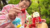【大和田伸也】ポケモンと一緒にイチゴを堪能　「ビタミンCがいっぱい」|TBS NEWS DIG