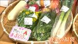 一番人気はダイコンやネギなどが入った「野菜の福袋」 道の駅で新春初売り 宮城・村田町|TBS NEWS DIG
