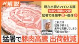 このままだと高級食材に…猛暑で豚肉価格が高騰、“豚の子づくり”に影響も【Nスタ解説】|TBS NEWS DIG