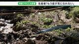 【静岡豪雨】「あんな大雨でも生きていた」壊滅的被害受けた江戸時代からの歴史持つワサビ田 復活に向けた一歩 | 静岡のニュース | SBSNEWS | 静岡放送
