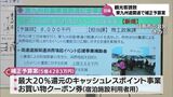 最大20%分のキャッシュレスポイント還元事業など 日南市が観光客誘致策の補正予算案を提出へ | MRTニュース | MRT宮崎放送