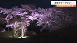 「360度サクラがライトアップされる」みちのく杜の湖畔公園で夜桜ライトアップ開始　宮城・川崎町　|　宮城のニュース│tbc NEWS│tbc東北放送