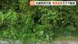 宮城・大崎市で民家の雑木林に現れたクマ緊急銃猟 | 宮城のニュース│tbc NEWS│tbc東北放送