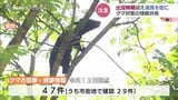 LINEで「クマ出没最新情報」先月男性が襲われた富山市で対策会議|TBS NEWS DIG