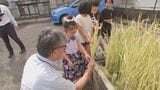 宮崎市の学習塾　授業の一環で稲刈り体験　|　MRTニュース ｜ ＭＲＴ宮崎放送