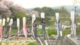 端午の節句に向けて鯉のぼりの飾り付け 今治・愛媛|TBS NEWS DIG