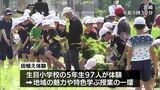 地域の魅力や特色を学んで　宮崎市の小学生が田植えを体験　|　MRTニュース ｜ ＭＲＴ宮崎放送