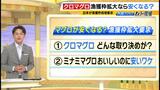『クロマグロ』が安く買える日が来るかも!?近年は資源量が増加傾向 一方で専門家の“推し”は「知名度は低い」がお手ごろな『ミナミマグロ』|TBS NEWS DIG