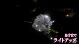 たたずむ一本桜・槍沢の枝垂れ桜　風格ある古木に「勇気もらえる」　青森県五戸町|TBS NEWS DIG