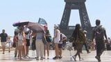 欧州各地で熱波が猛威 フランス・パリでは「命の危険」 学校休校も 2日まで続く見通し|TBS NEWS DIG