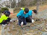 福島市のシンボル・信夫山を「桃色の名所」へ…福島JCと高校生が芝桜を植樹|TBS NEWS DIG
