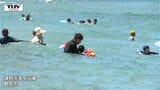 「気分は最高」海の日 湯野浜海水浴場が多くの人で賑わう 県内は多くの地点で猛暑日に(山形) | 山形のニュース│TUYテレビユー山形