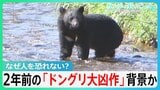 死者12人に…クマ被害急増の背景に「ドングリ大凶作」 人里に慣れた“子グマ”が成長か “クマ災害”に政府も緊急対策【サンデーモーニング】|TBS NEWS DIG